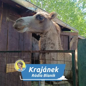 Tip na letní výlet: Zoo Sedlec u Mikulova láká na krmení koziček a vzácné opice