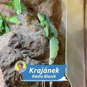 Karibik i Tichomoří uprostřed města: Martin Císař prozkoumal Rajské ostrovy!