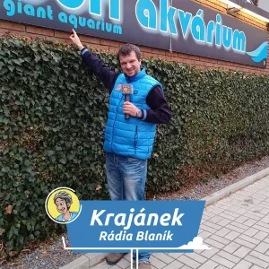 Amazonie uprostřed Hradce: Objevte největší sladkovodní akvárium u nás