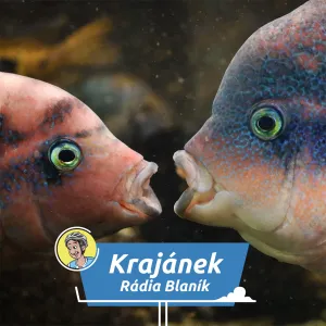 Tajemství podvodního světa: Vlasta v českolipském akváriu!