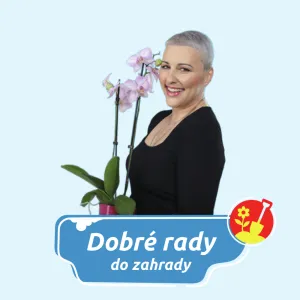 Dobré rady do zahrady na Rádiu Blaník
