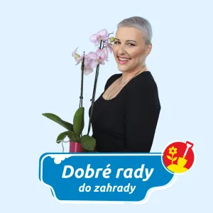 Dobré rady do zahrady na Rádiu Blaník